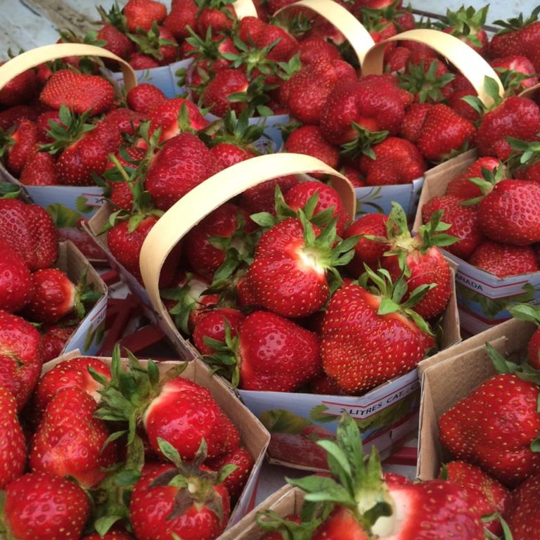 2L Paradis Des Fraises